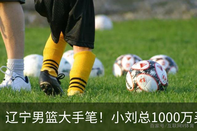 辽宁男篮大手笔！小刘总1000万买断段睿骐，4年B类合同，赵继伟接班人！